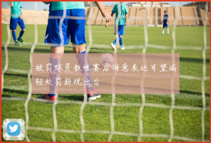 被罚球员教练赛后悔意表达可望减轻处罚新规出台